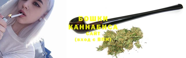 соль ск Лиски