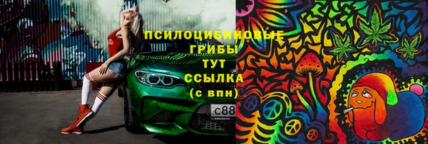 соль ск Лиски