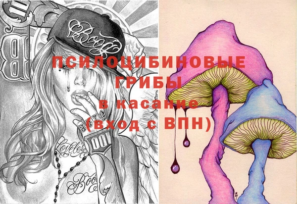соль ск Лиски