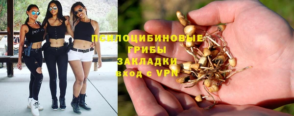 соль ск Лиски