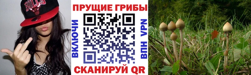 Псилоцибиновые грибы Magic Shrooms  Шилка 